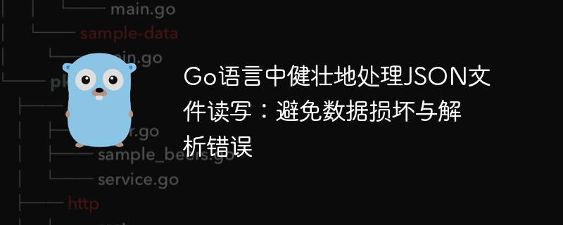 Go语言JSON读写技巧：避免数据损坏与解析错误