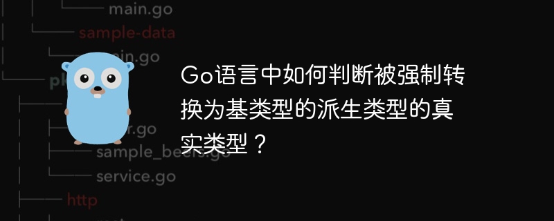 Go语言中如何判断被强制转换为基类型的派生类型的真实类型？