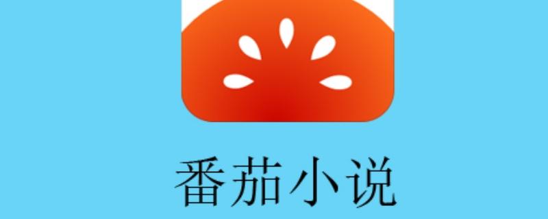 番茄小说VIP版免广告畅读全站内容