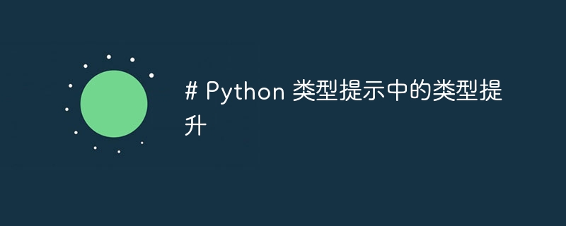Python类型提示的进阶技巧