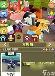 疯狂动物园怎么抓濒危动物