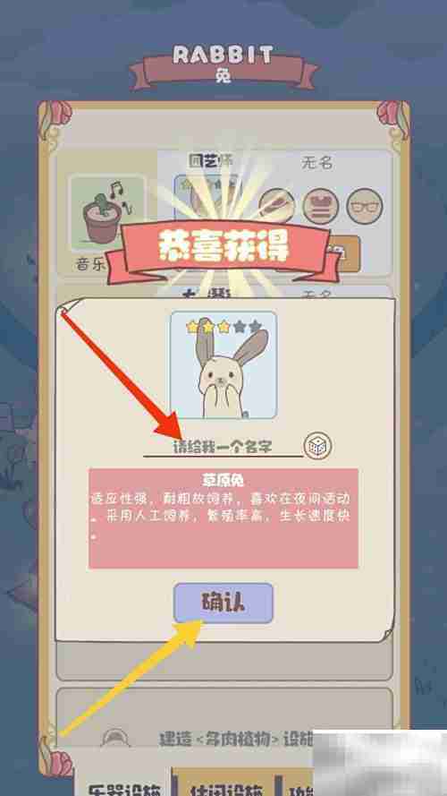 兔兔音乐会钢琴家安排