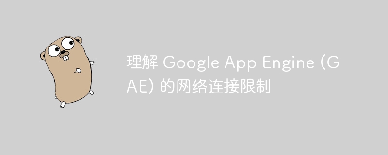 GAE网络限制解析与优化技巧