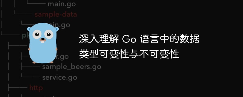 Go语言数据类型可变性详解