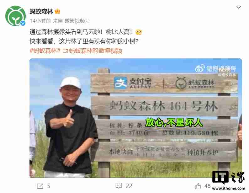 马云时隔六年再次探访蚂蚁森林，和树比高