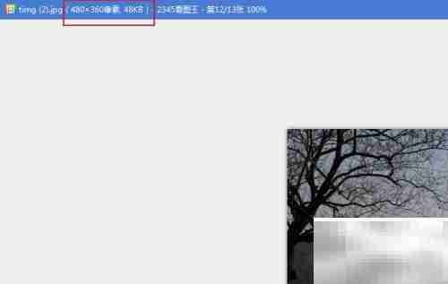 Picasa修改照片尺寸方法