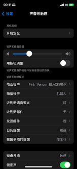 iPhone16静音震动怎么设置