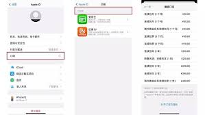 苹果取消订阅步骤详解