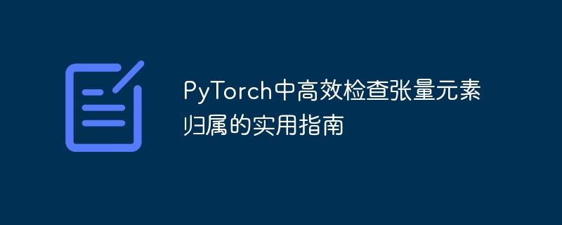 PyTorch张量归属检查方法解析