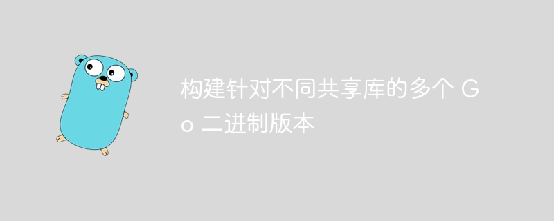 多版本Go共享库支持构建指南