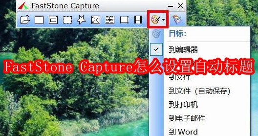 FastStoneCapture自动标题设置方法