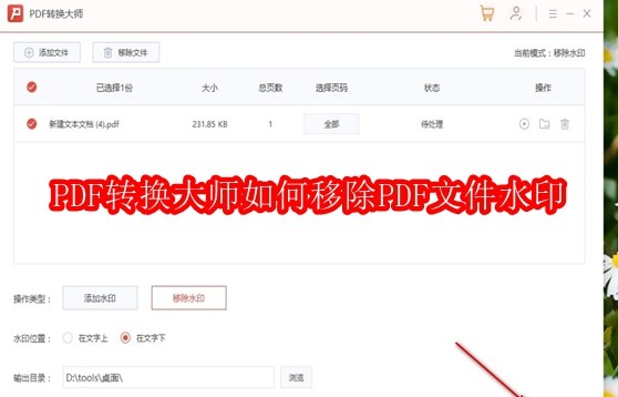PDF转换大师去水印技巧全解析