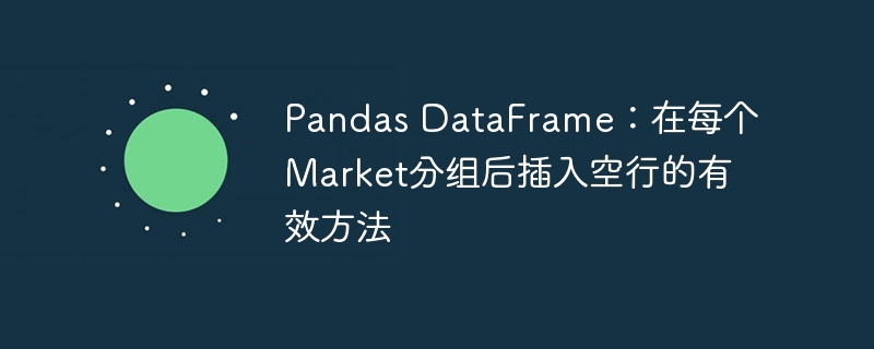 Pandas分组插入空行技巧分享