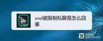 Soul账号异常被限制登录怎么办