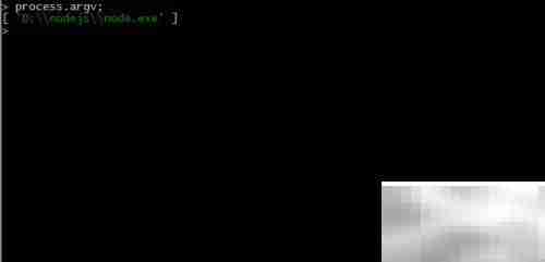 Node.js进程信息查看指南