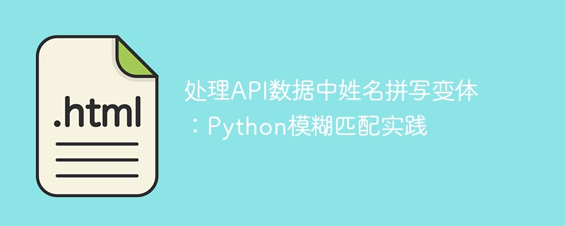 处理API名称变体：Python模糊匹配方法