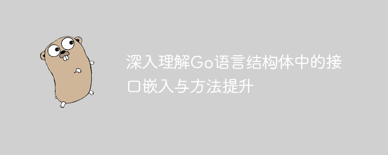 Go语言接口嵌入与方法提升详解