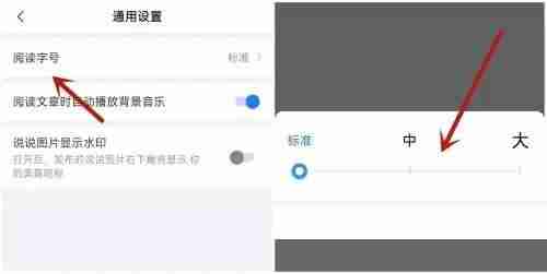 美篇阅读字号怎么设置？美篇阅读字号设置教程