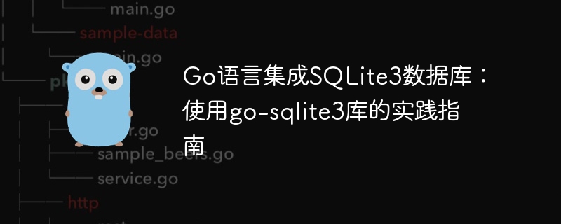 Go语言集成SQLite3教程：go-sqlite3使用详解