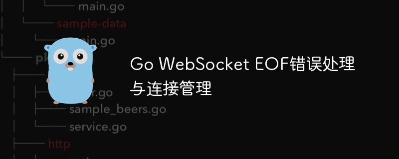 GoWebSocketEOF处理与连接优化方法