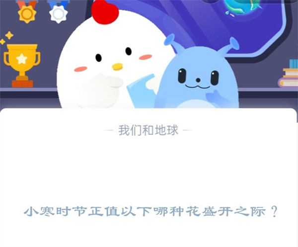 小寒花开是什么花？庄园答案全解析