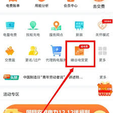 网上国网晚峰电价申请步骤详解