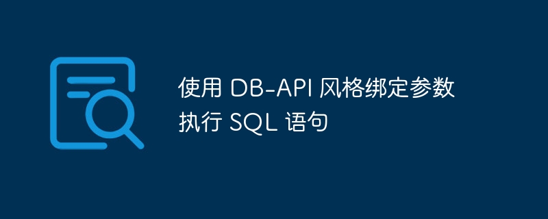 DB-API参数化SQL执行方法详解