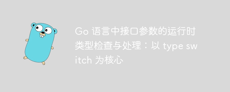 Go接口类型判断与处理：typeswitch实用教程