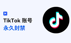 TikTok账号被封如何解封?