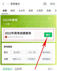支付宝查高考成绩密码怎么填?