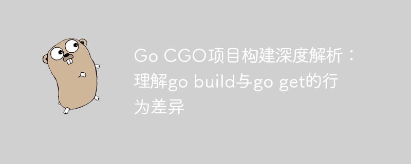 GoCGO项目构建详解:gobuild与goget区别全解析