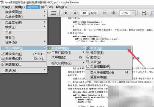 Adobe Reader打开附件栏方法