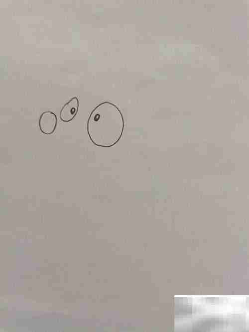 大眼睛狐狸绘画教程