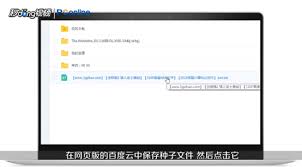 百度云解析种子文件技巧分享