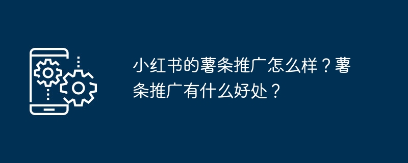 小红书薯条推广效果怎样？优势解析