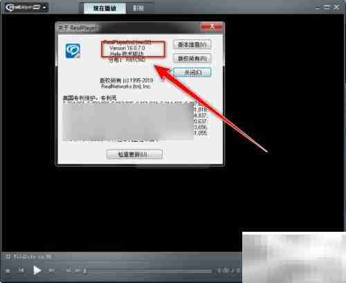 RealPlayer查看版本方法