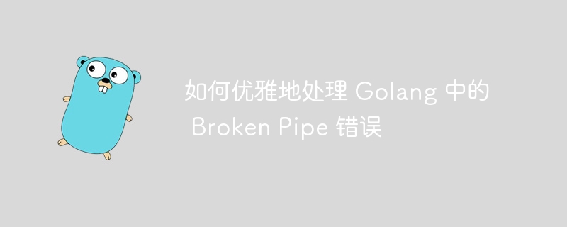 Golang如何优雅处理BrokenPipe错误