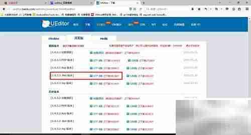 UEditor配置使用指南