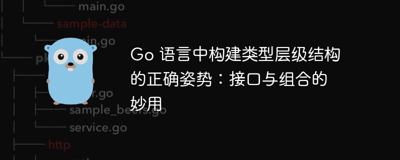 Go语言接口与组合使用方法