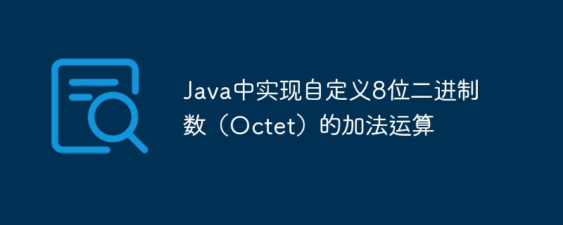 Java中实现自定义8位二进制数（Octet）的加法运算