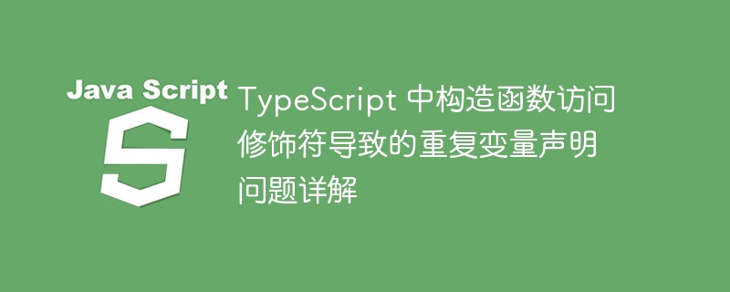 构造函数修饰符导致变量重复原因解析