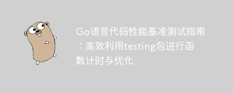 Go语言testing包高效计时与调优技巧