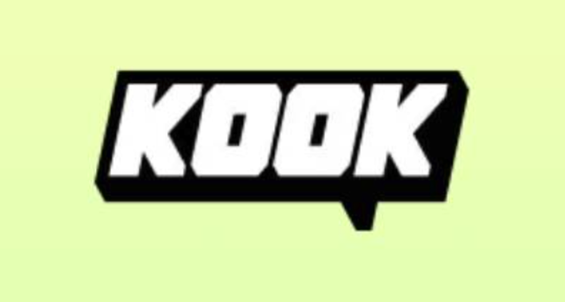 KookZoom插件安装教程全解析