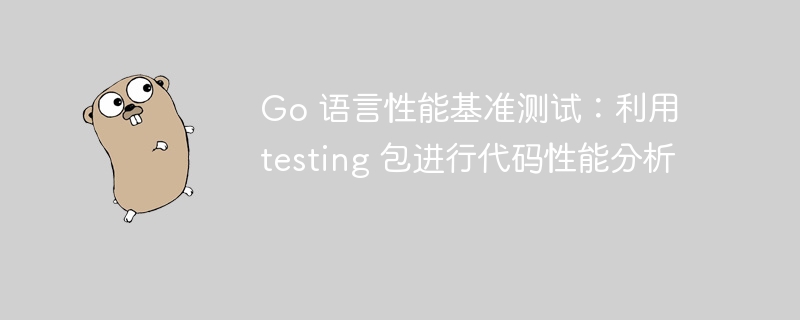 Go语言性能测试：用testing包分析代码效率