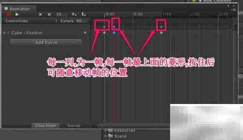 动画制作：掌握播放速度与倒序技巧