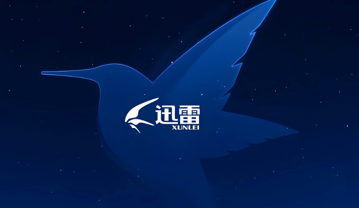 迅雷浏览器官网入口及网页版链接
