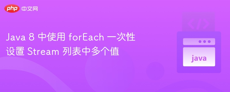 Java8Stream多值设置技巧