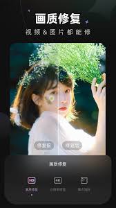 Wink画质修复免费吗？使用体验揭秘