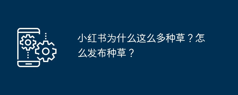 小红书种草原因与发布技巧详解