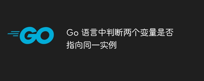Go中如何判断两个变量是否指向同一对象